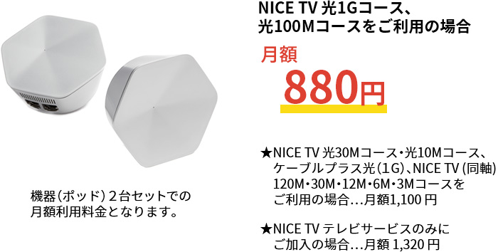 NICE TV 光1Gコース、光100Mコースをご利用の場合月額880円
